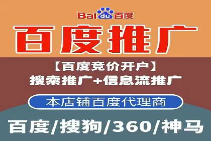 百度竞价包年推广：成功案例解析与效果评估